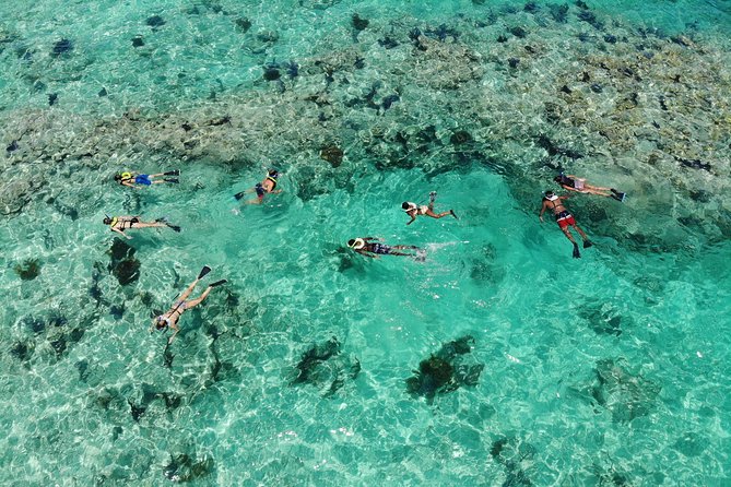 Key West Sunset Snorkel With Unlimited Draft Beer & Wine - Tips for a Great Experience