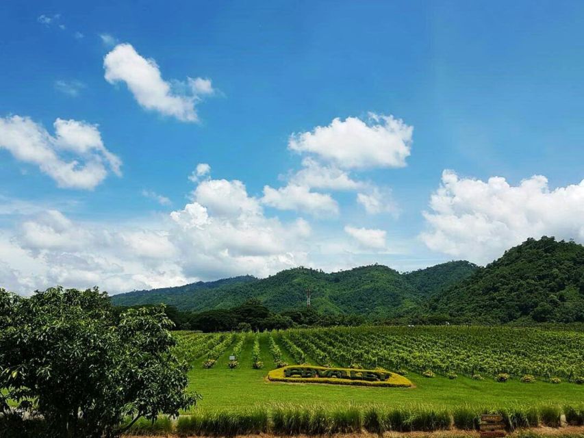 Khao Yai Vineyard Tasting Tour & Horse Farm Visit - Lunch at The Great Hornbill