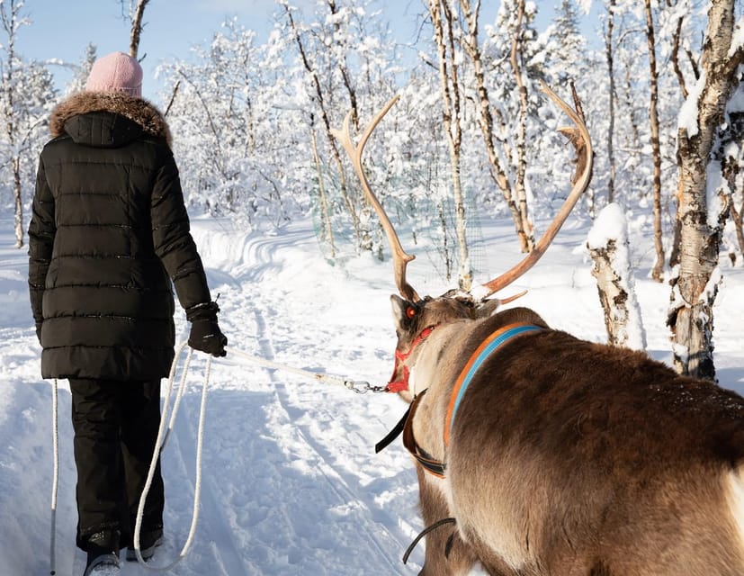 KIRUNA: Sami Reindeer Experience - Important Restrictions