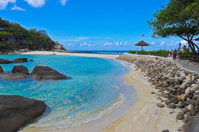Koh Tao and Koh Nang Yuan Snorkel Tour (Speedboat From Koh Samui) - Marine Life Spotting