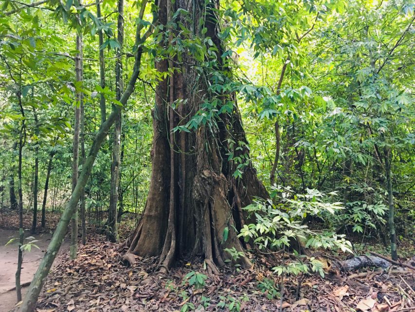 Krabi: Emerald Pool and Hot Springs Waterfall Half-Day Trip - Included Amenities and Services