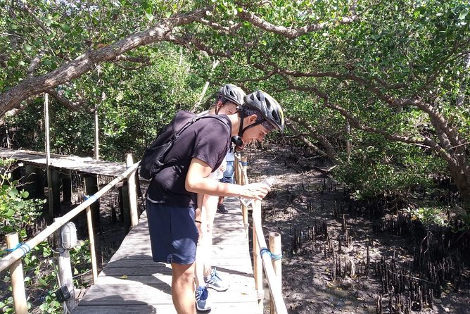 Kuta Beach Ebike Tour - Tips for a Great Experience