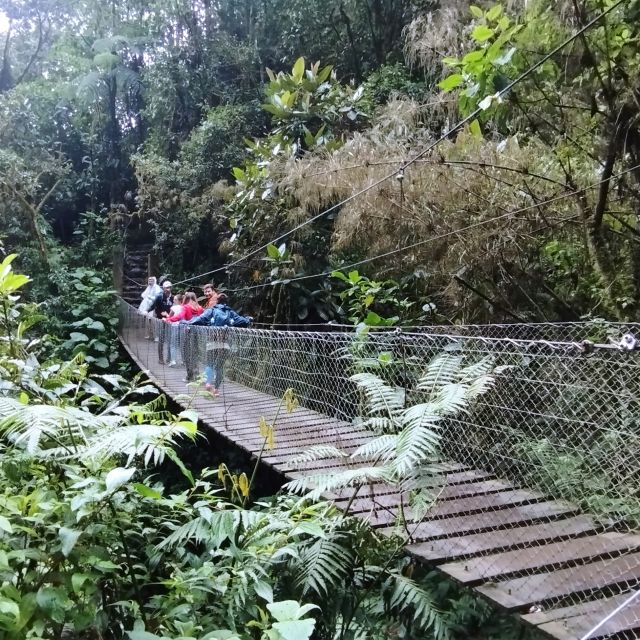La Chorrera Waterfall Hike - Booking and Cancellation Policy