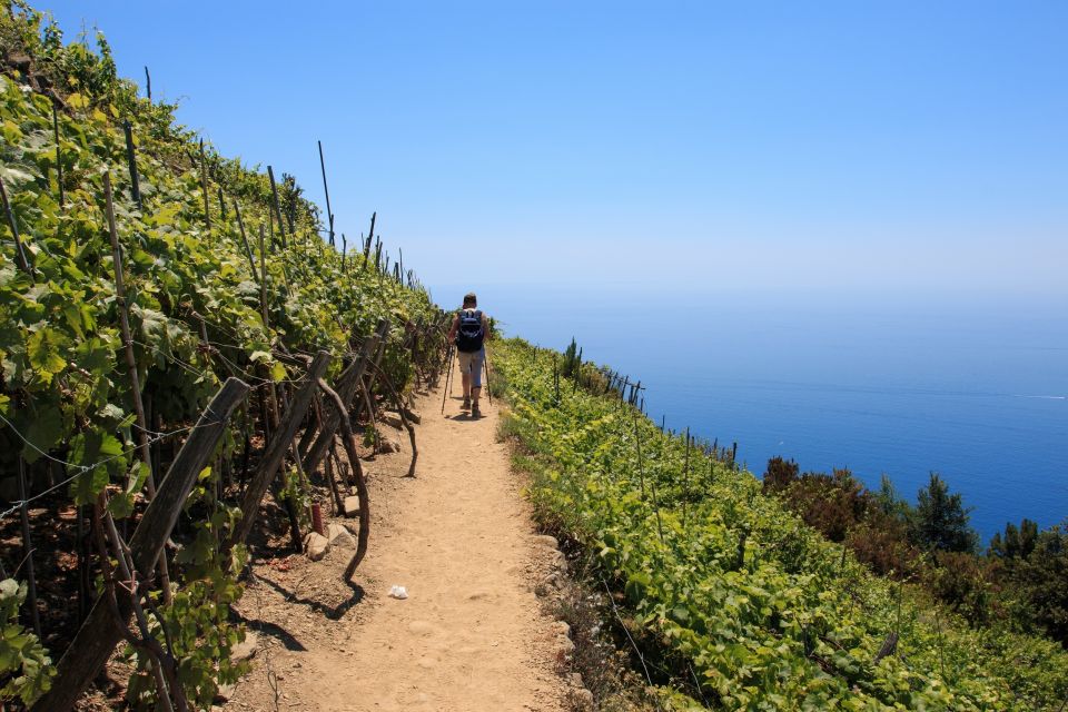 La Spezia: Cinque Terre Guided Hiking Tour - Bathroom Accessibility