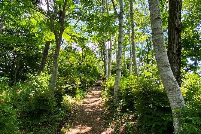 Lake Kawaguchiko Bike and Hike Tour - Nearby Attractions and Activities