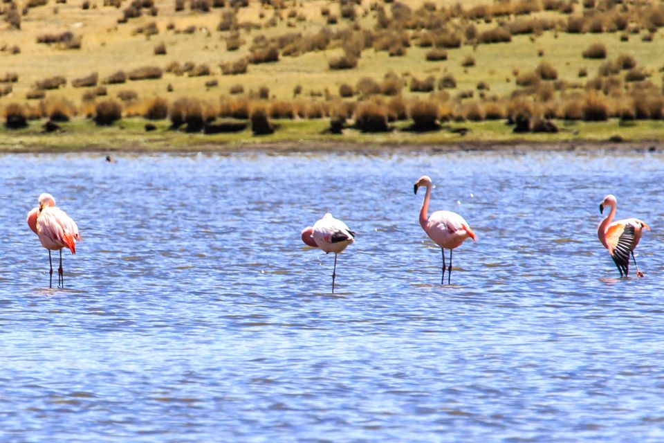 Lake Titicaca in Luxury Train Ending in Arequipa for 3 Days - Frequently Asked Questions