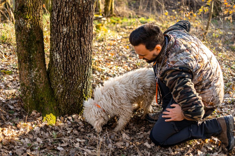 Langhe: Sunset Truffle Hunting With Tasting and Wine - Inclusion and Important Information