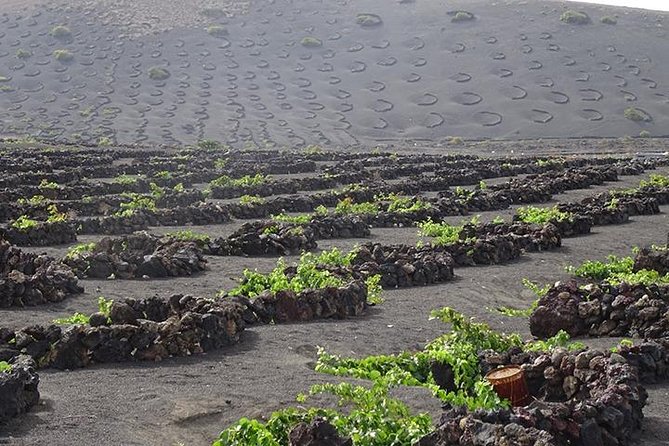 Lanzarote Highlights. Private Tour With Pickup (Price per Vehicle, Not P.P.) - Additional Tour Features