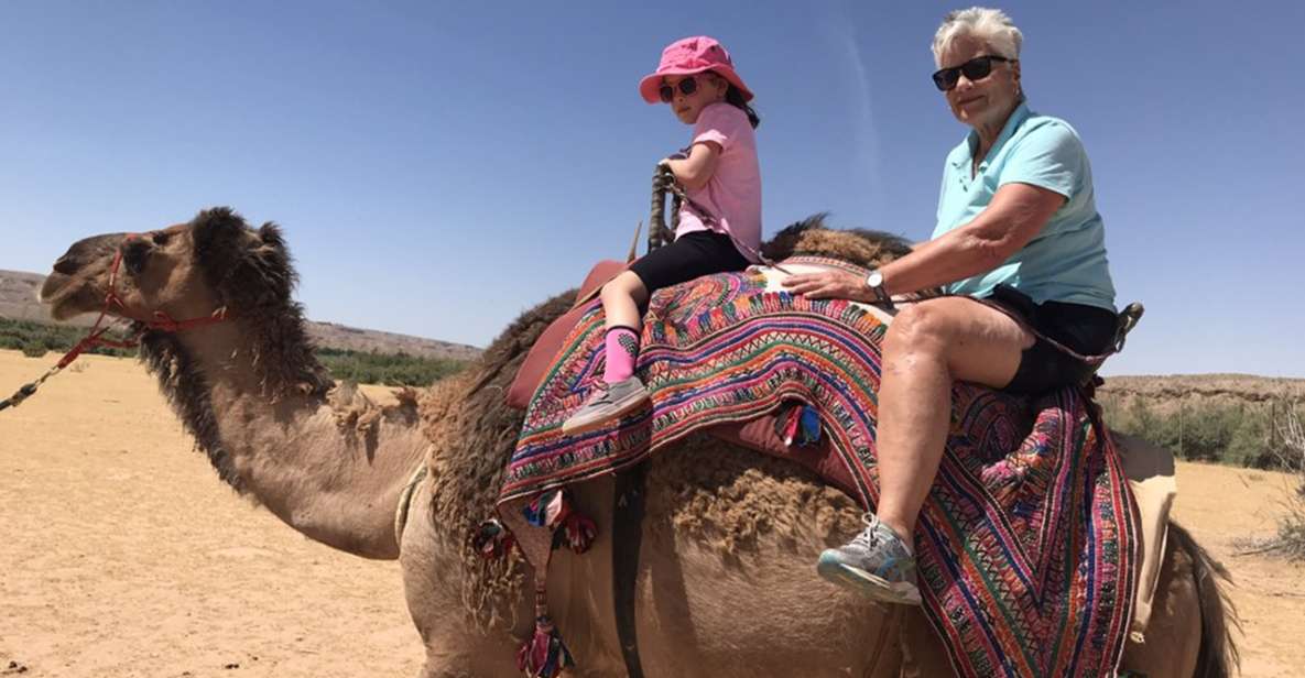 Las Vegas: Desert Camel Ride - Frequently Asked Questions