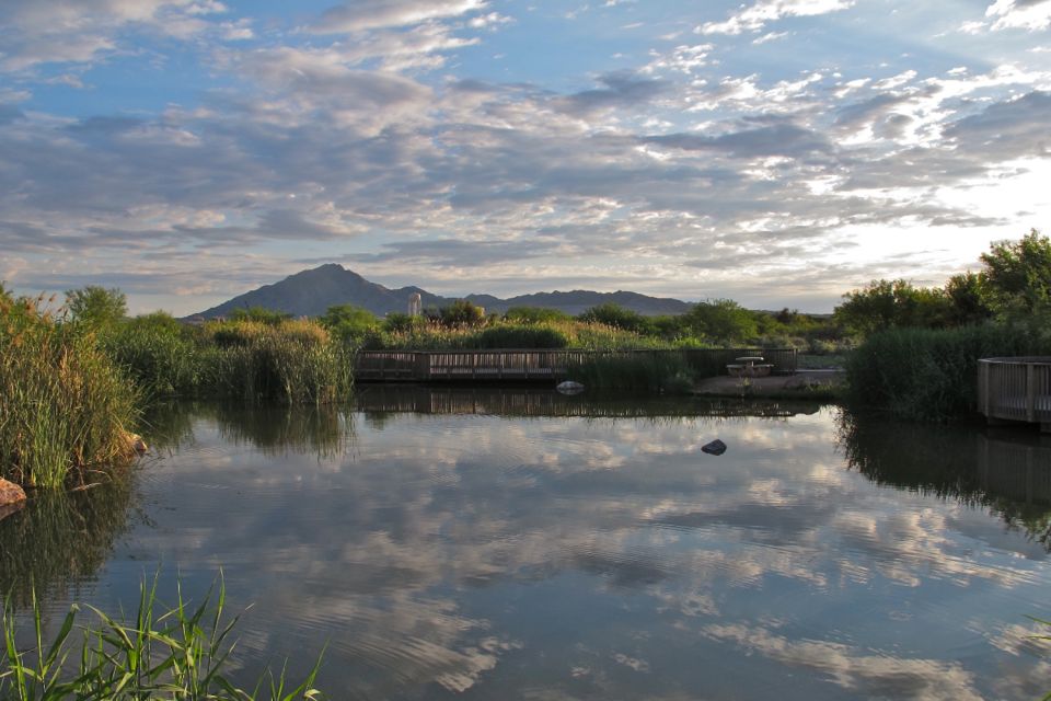 Las Vegas: Hoover Dam and Lake Mead Audio-Guided Tour - Diverse Wildlife and Ecosystems