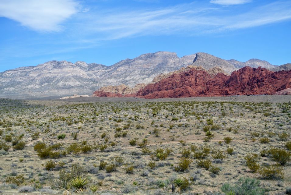 Las Vegas: Mojave, Red Rock Sign and 7 Magic Mountains Tour - Discover Mojave Desert