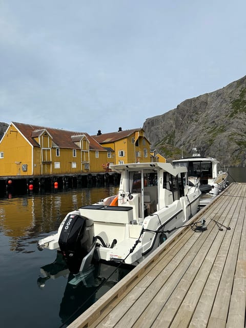 Leknes: 4 Hours Private Exclusive Boat Sightseeing - Preparation Tips
