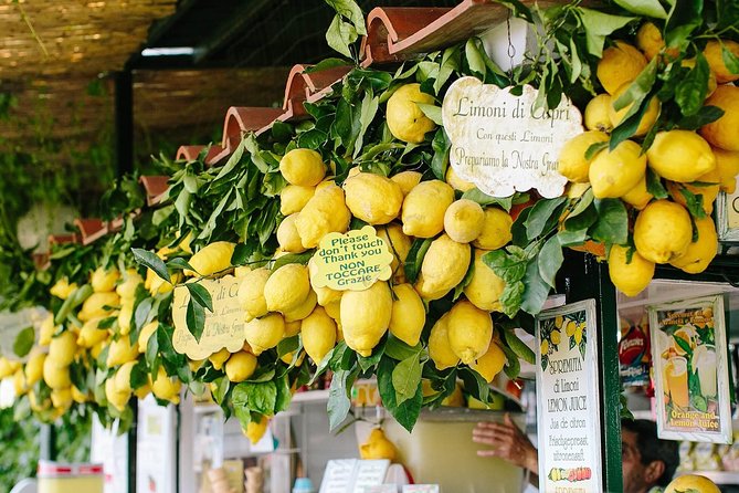 Li Galli Islands and Capri Small Group Boat Tour From Amalfi - Logistics and Transportation