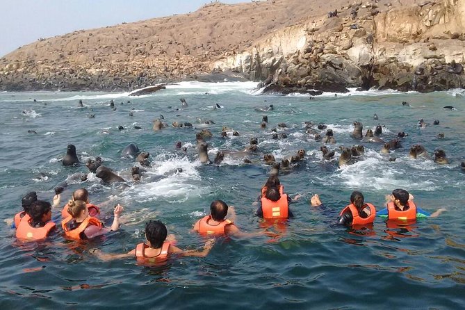 Lima: Palomino Islands Excursion & Swimming With Sea Lions With Hotel Transfers - Recommendations for a Great Experience