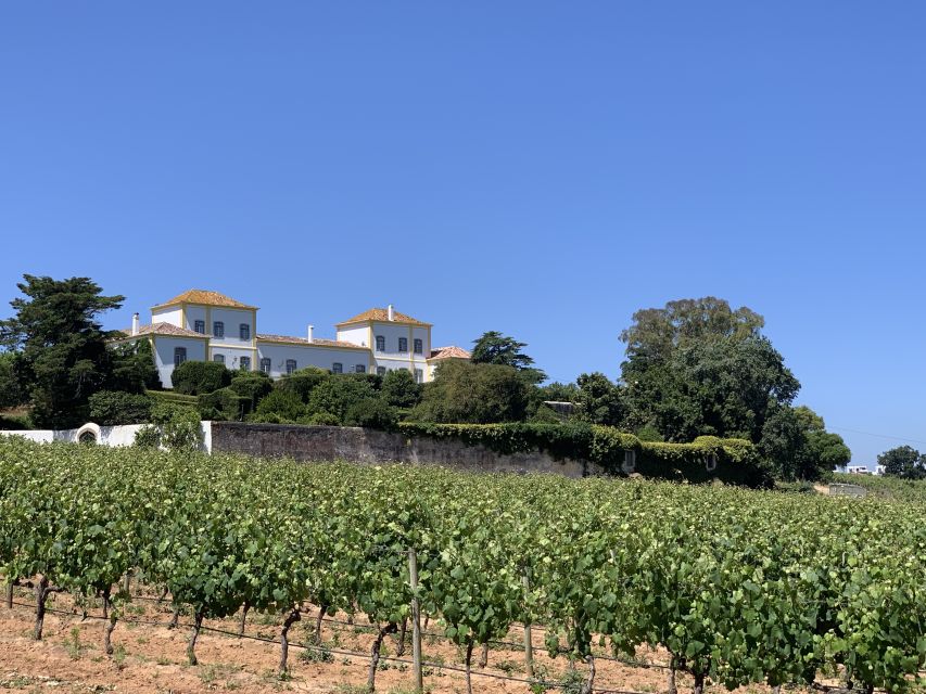 Lisbon Area Wine Tour - Frequently Asked Questions