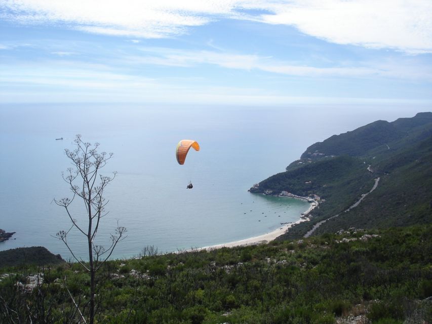 Lisbon: Arrábida Culture, Wine & Gastronomic Experience - Witnessing the Serra Da Arrábida Landscape