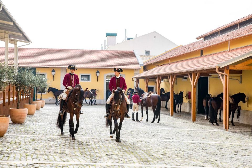 Lisbon: Morning of Equestrian Art With Lusitano Horses - Customer Feedback