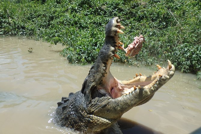 Litchfield and Jumping Crocodiles Full Day Trip From Darwin - Booking Information