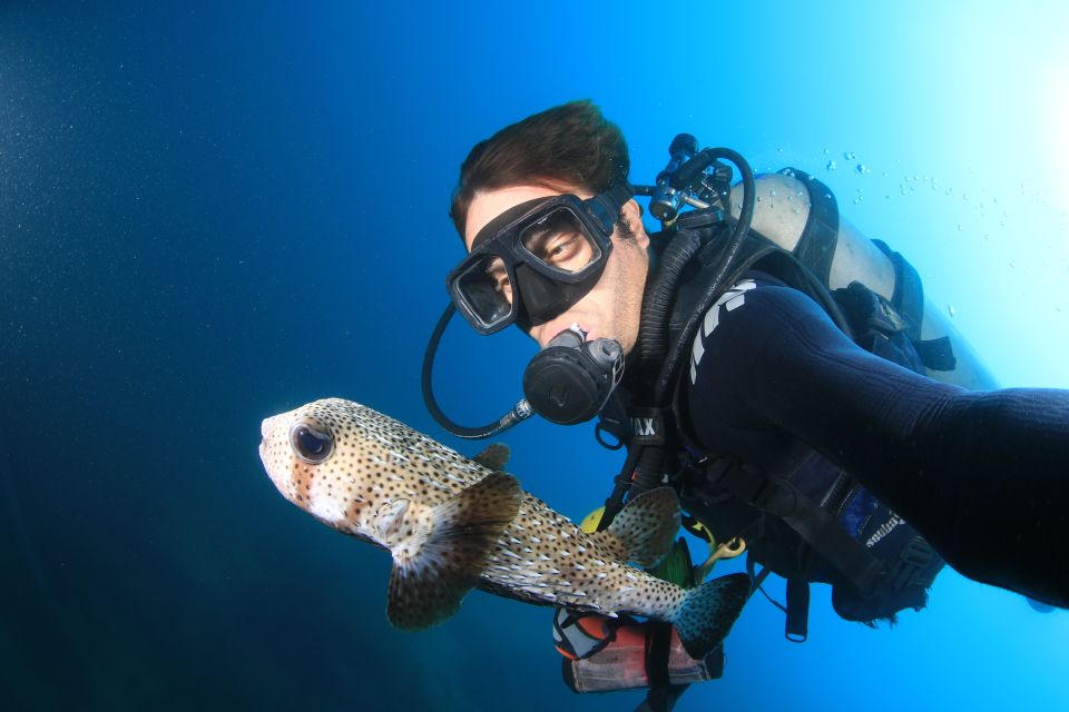 Los Cabos 3-Hour Certified Scuba Diving Tour - Booking and Reservations