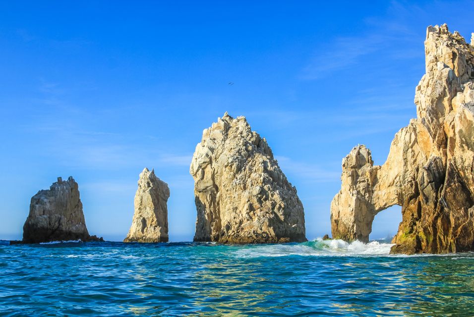 Los Cabos: Reef Snorkeling Cruise With Lunch and Open Bar - Frequently Asked Questions