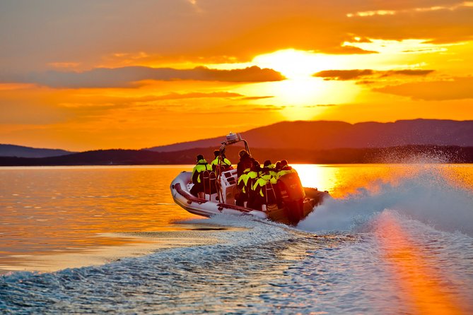 Lysefjord RIB Safari From Stavanger - Accessibility and Fitness Considerations