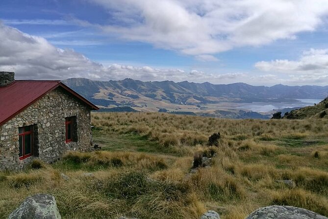 Lyttelton Shore Excursion -Guided Hiking Tour Packhorse Hut - Tips for Travelers