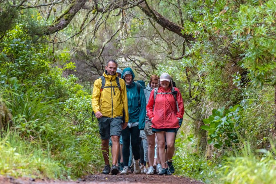 Madeira: Rabacal 25 Fountains Levada Walk & Cabo Girao - Breathtaking Views From Cabo Girao