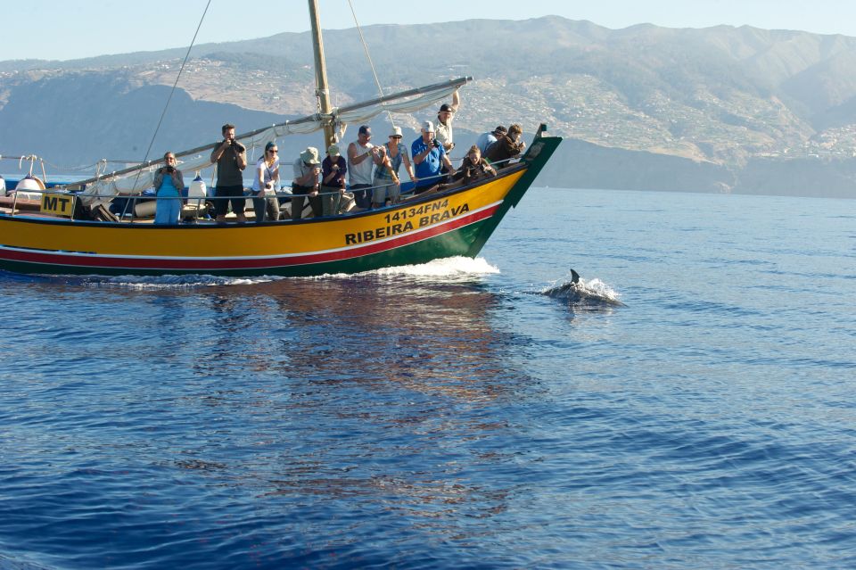 Madeira: Whale Watching Excursion in a Traditional Vessel - Meeting Point and Directions