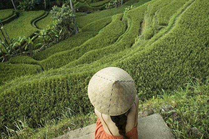 Magical Ubud Rice Terrace Tour (Private & All-Inclusive) - Customer Reviews and Ratings
