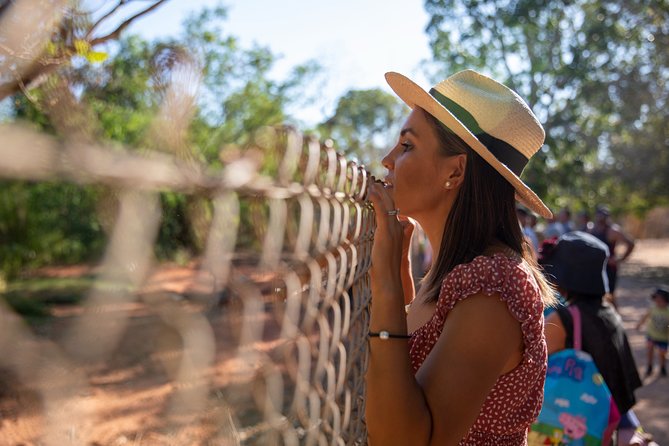 Malcolm Douglas Crocodile Park Tour Including Transportation - Tour Operator Insights