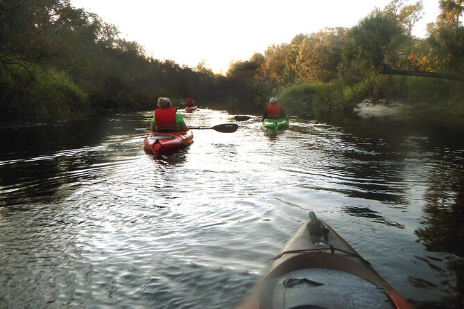 Manatees/Sunset/Bioluminescence Tour - Location and Accessibility