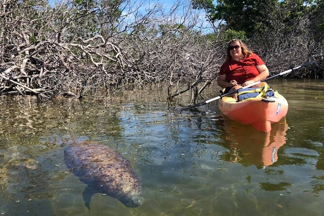 Mangroves and Manatees - Guided Kayak Eco Tour - Cancellation Guidelines