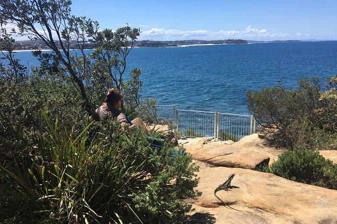 Manly Snorkel Trip and Nature Walk With Local Guide - Tips for Your Trip