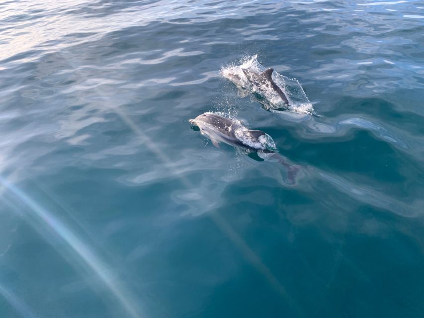 Marbella: Sailing & Dolphin Watching With Snacks and Drinks - Scenic Views