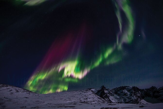 Marianne's Heaven On Earth Aurora Chaser Tours - Group Size and Special Requests