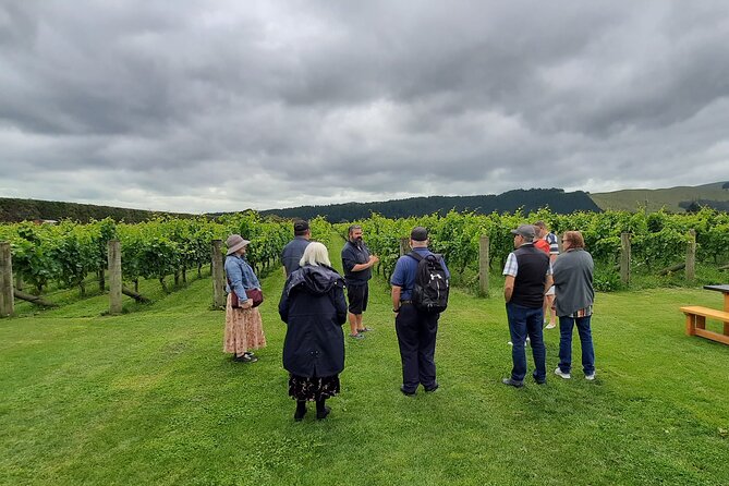 Martinborough Wine and Wild Coast Tour From Wellington - Traveler Reviews and Feedback