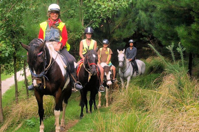 Matakana Art & Horse Riding Experience Private Tour From Auckland - Experience Testimonials and Reviews