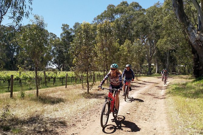 McLaren Vale Wine Tour by Bike - Booking and Availability