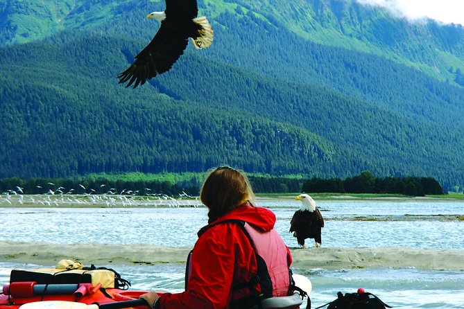 Mendenhall Glacier View Sea Kayaking - Tips for a Great Adventure