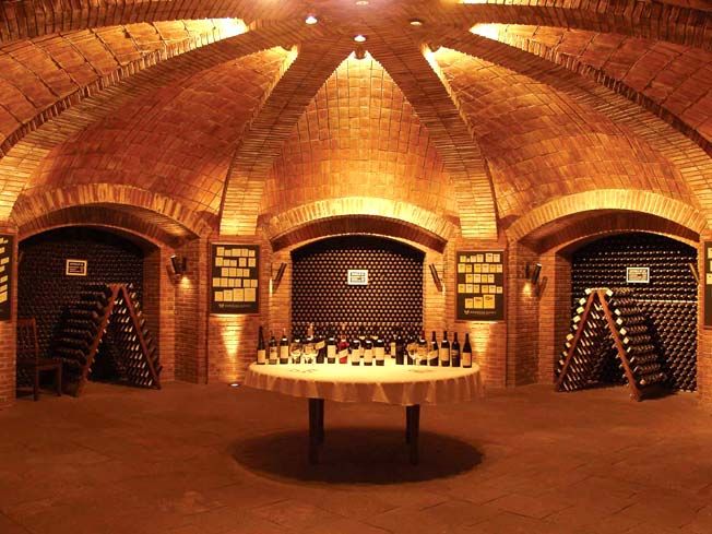 Mendoza: Small-Group Wineries Tour With Tasting and Lunch - Wine and Olive Oil Insights