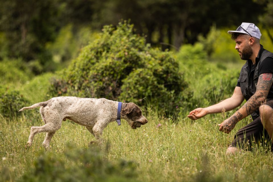 Meteora Truffle Hunting Experience With Lunch & Museum Visit - Pricing and Cancellation Policy