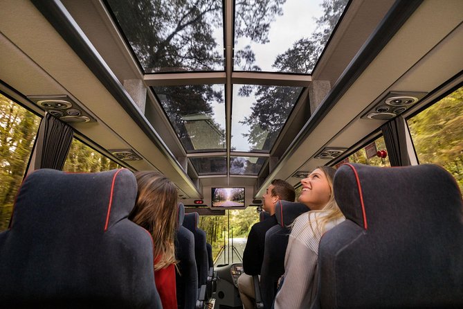 Milford Sound Coach and Cruise From Queenstown With Buffet Lunch - Tips for a Great Experience
