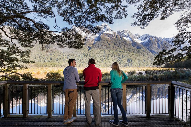 Milford Sound Coach and Cruise From Te Anau With Buffet Lunch - Special Offers and Notes