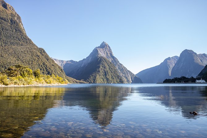 Milford Sound Small Group Tour From Queenstown With Scenic Flight - Booking and Cancellation Details