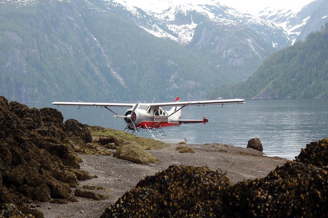 Misty Fjords Seaplane Tour - Accessibility Options