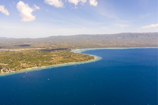 Moalboal Sardines Run Private Tour - Guest Reviews and Feedback
