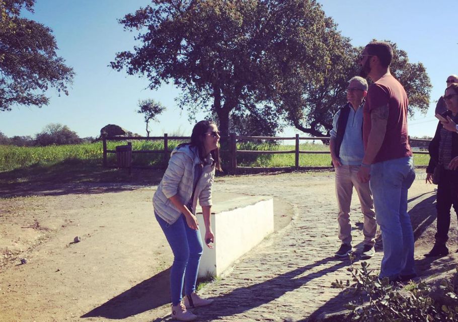 Monsaraz and Wine Guided Tour From Évora - Recommended Attire