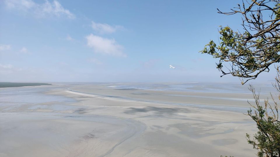 Mont-Saint-Michel: Private Walking Tour With Abbey Ticket - Cancellation Policy