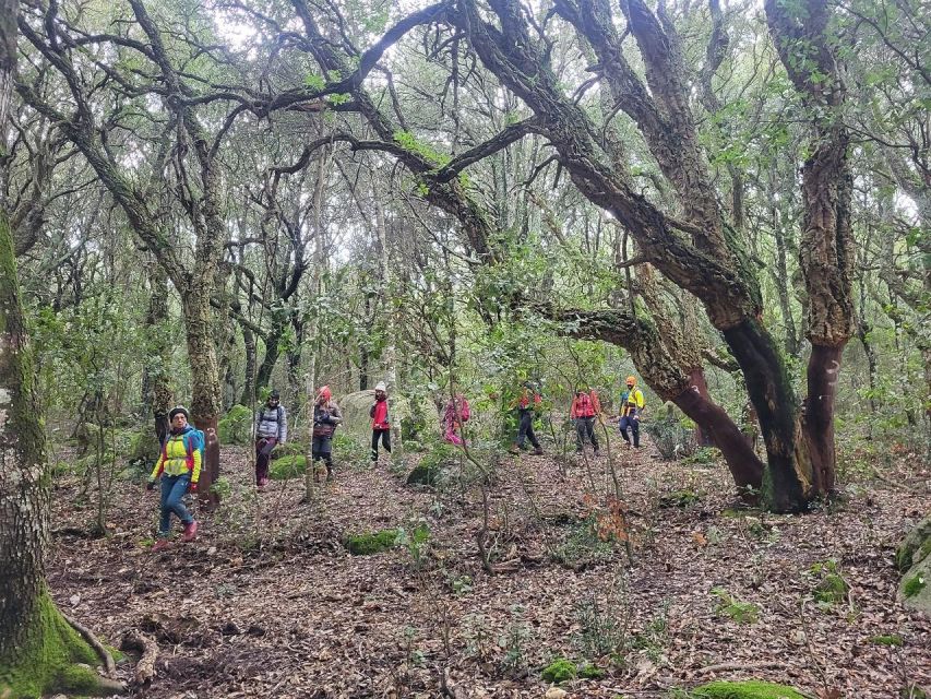 Monte Tiniterra: Guided Hiking Tour - Nearby Attractions