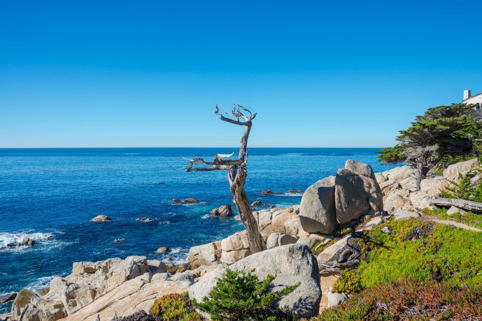 Monterey: 17-Mile Drive Self-Guided Audio Tour - Monterey Bay Aquarium